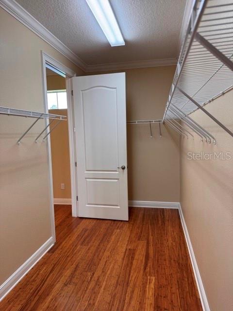 6803 LOCKINGTON CT — photo 32