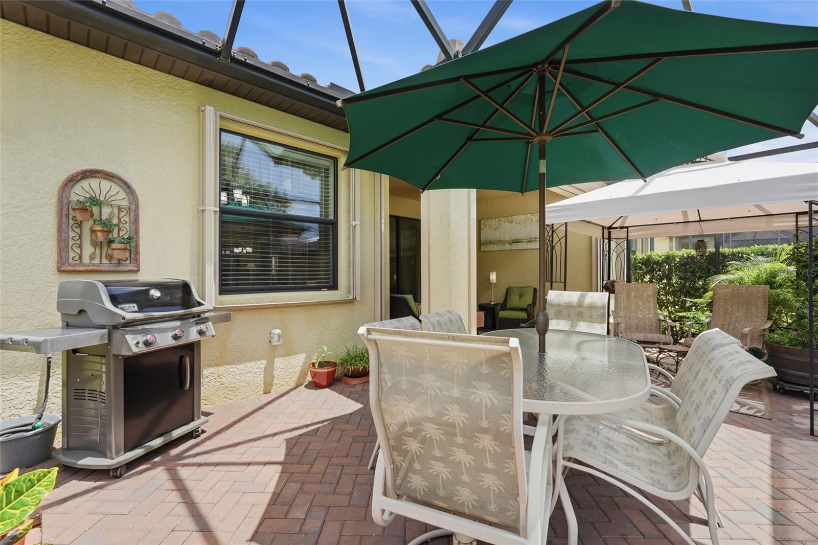 2543 ARUGULA DR — photo 51