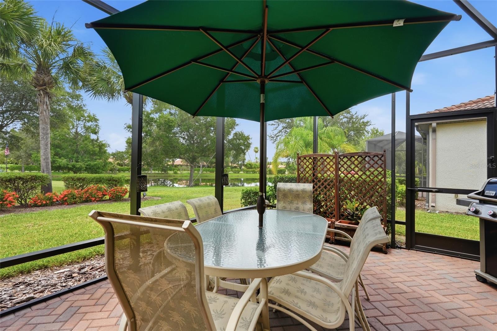 2543 ARUGULA DR — photo 52