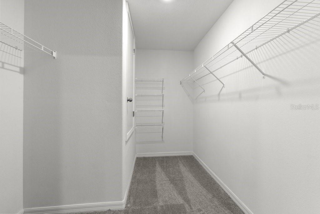 7110 AMELIA COVE CT — photo 11