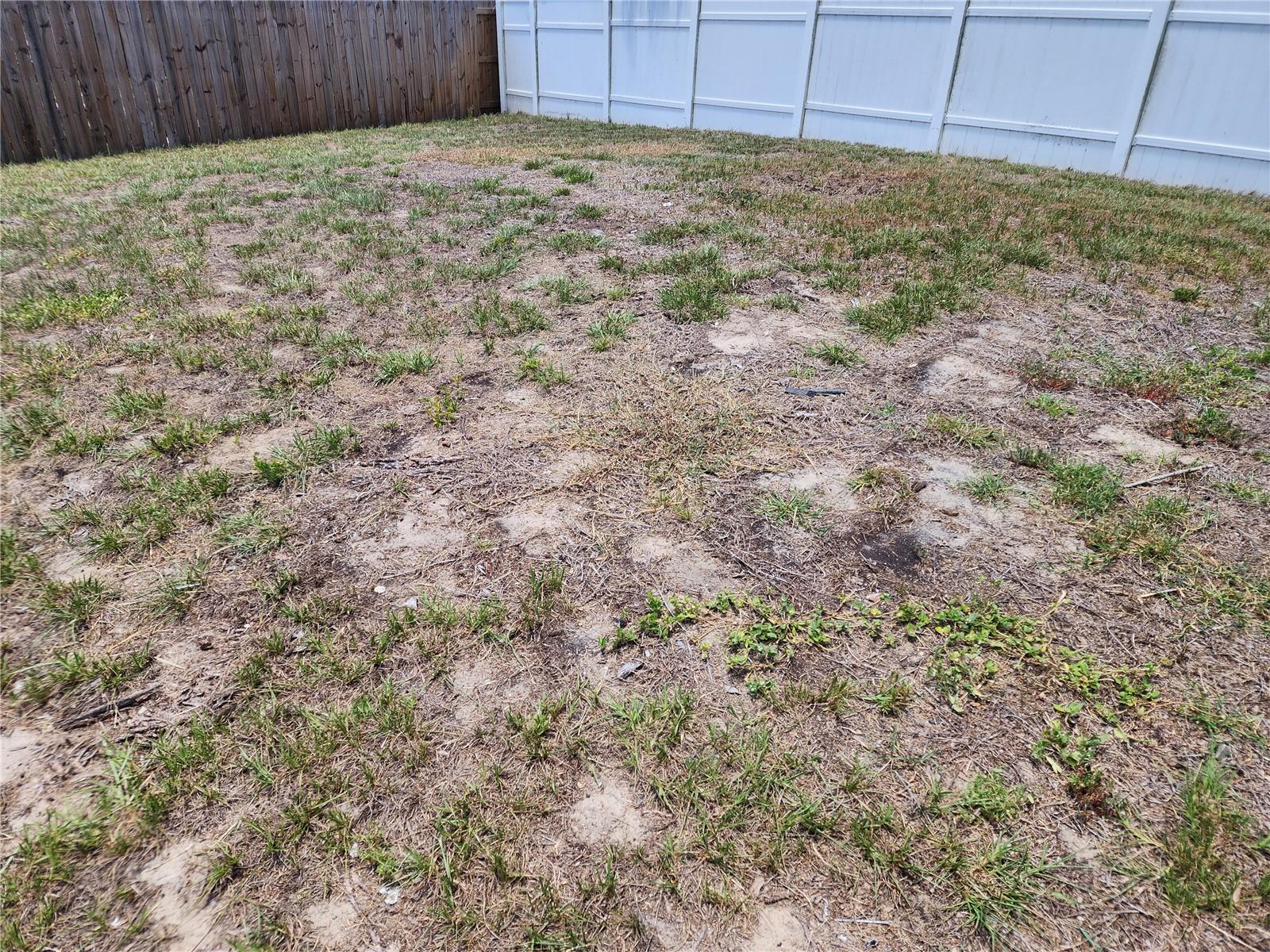 Home in TEMPLE TERRACE — photo 3