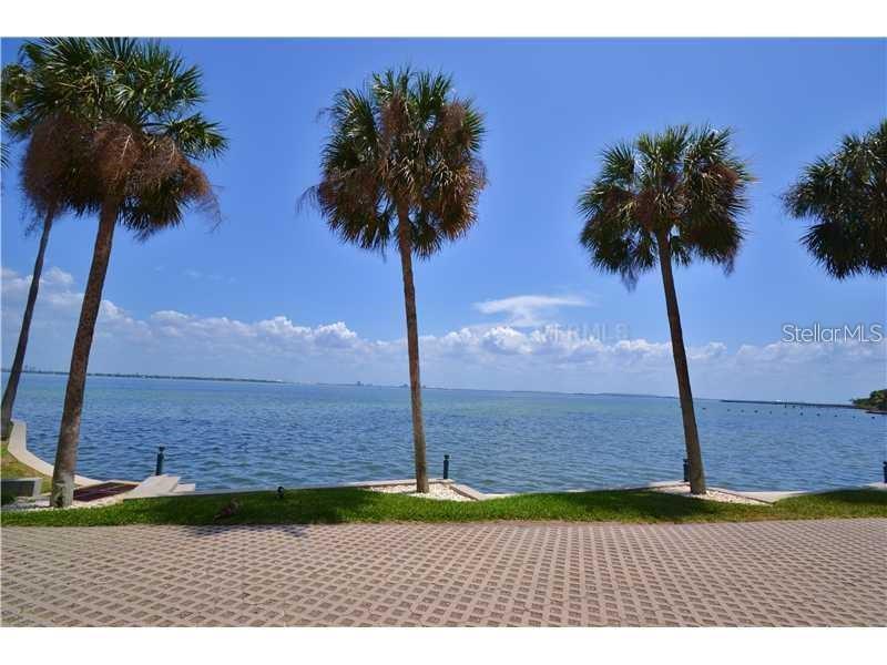 4950 BAYSHORE BLVD #28 — photo 23