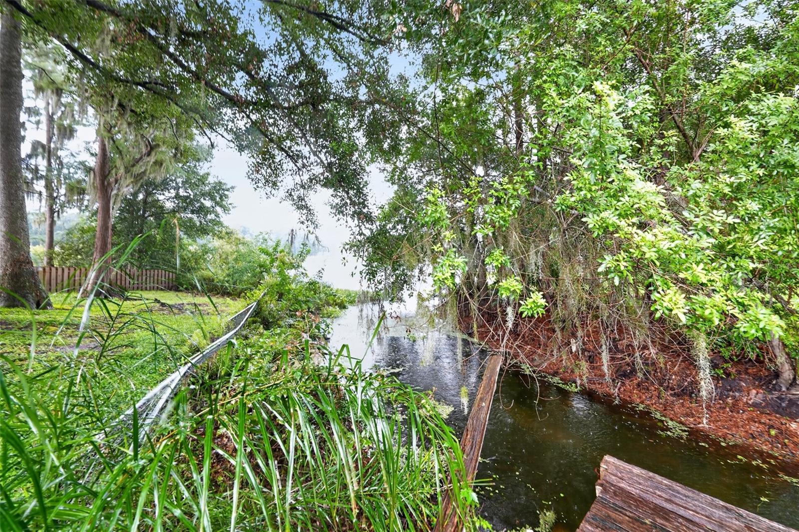 3205 LAUREL DALE DR — photo 35