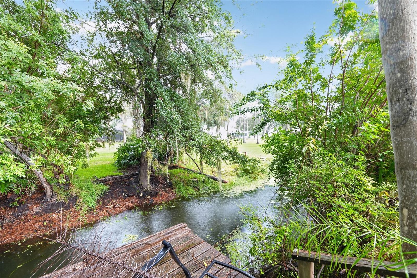 3205 LAUREL DALE DR — photo 34