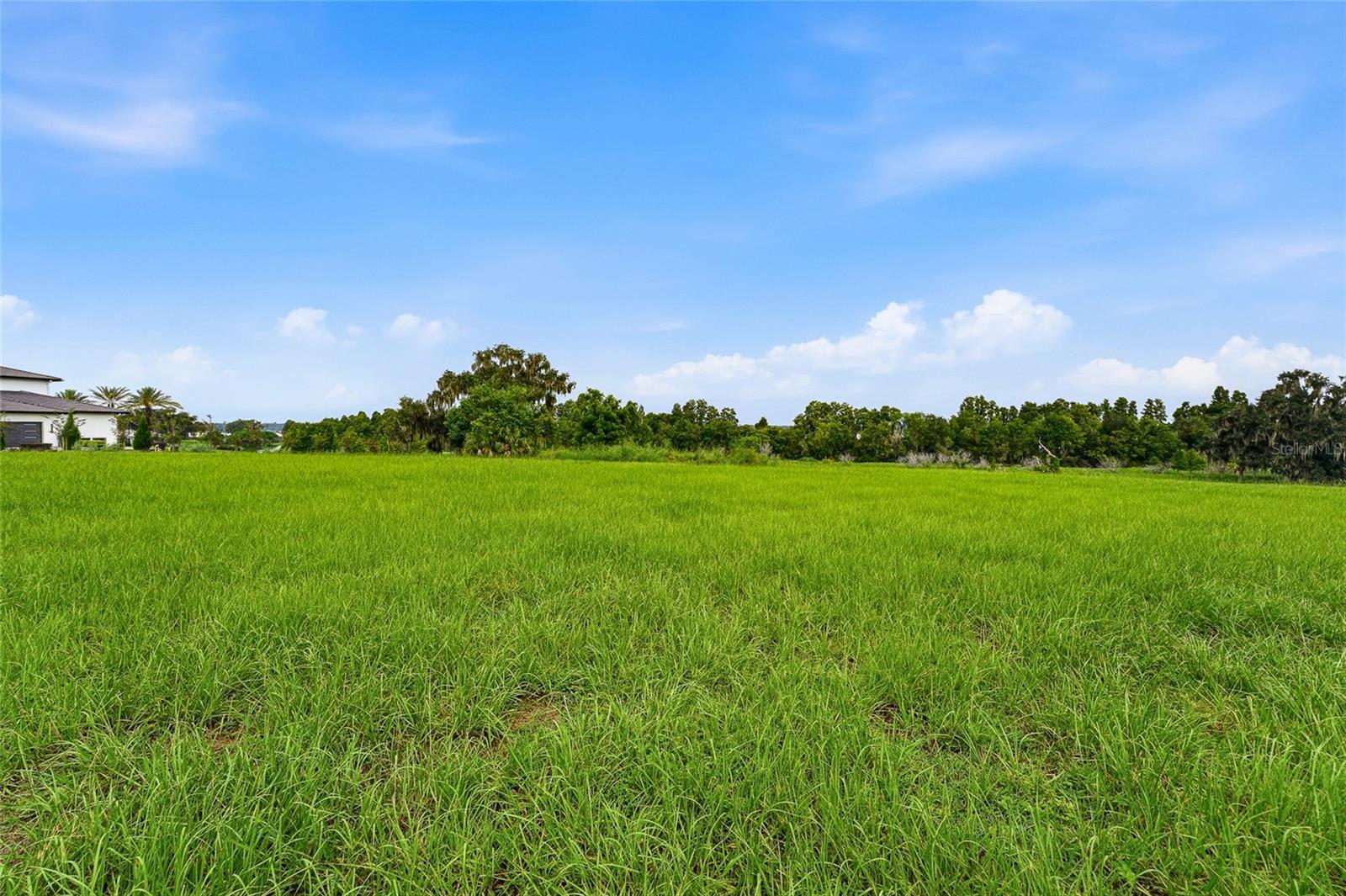 10734 OSPREY LANDING WAY — photo 38