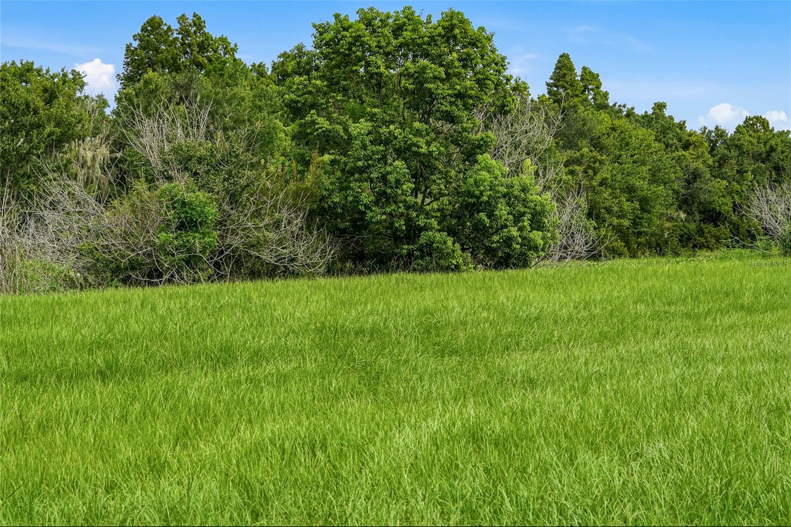 10734 OSPREY LANDING WAY — photo 57