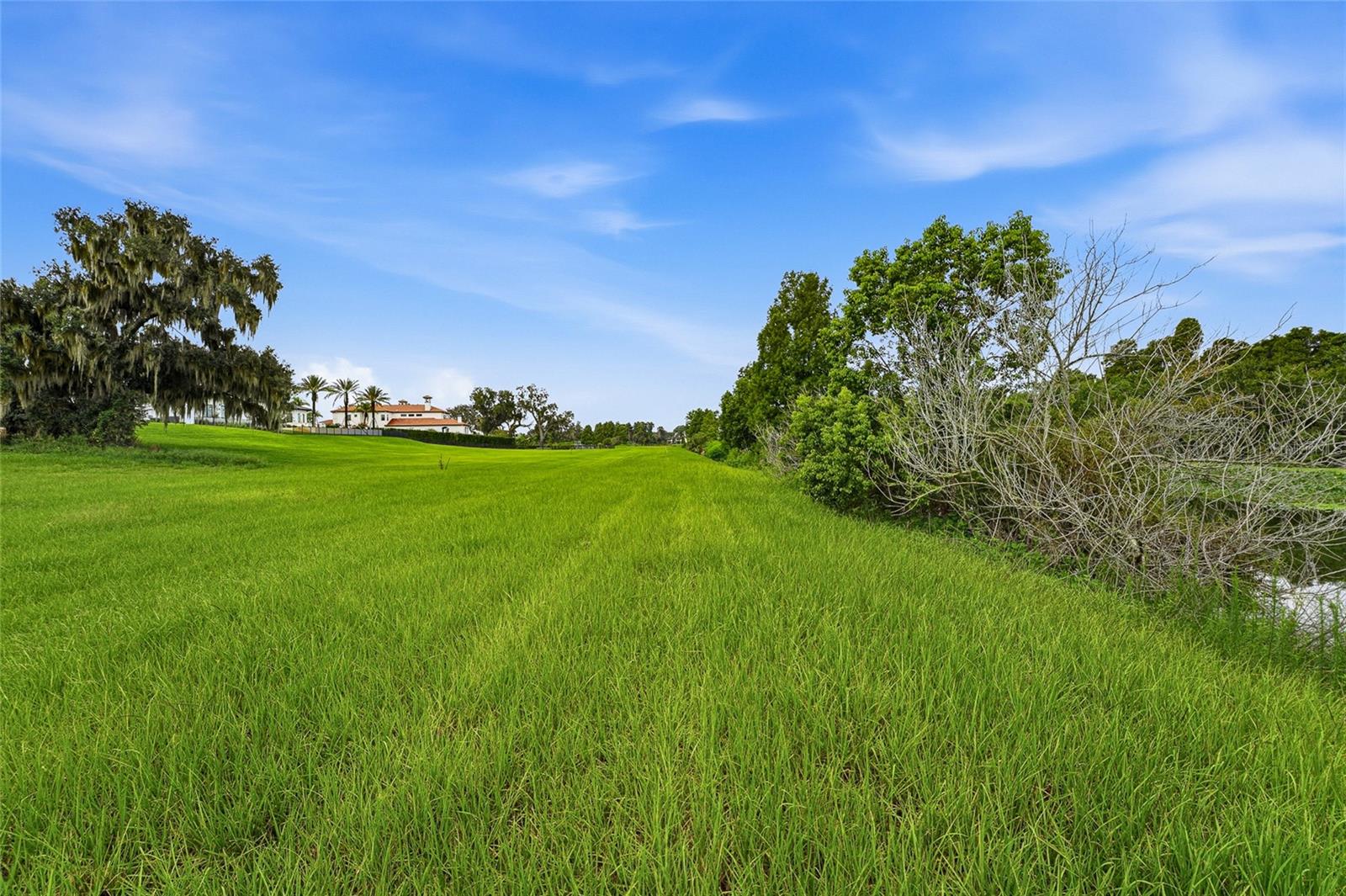 10734 OSPREY LANDING WAY — photo 41