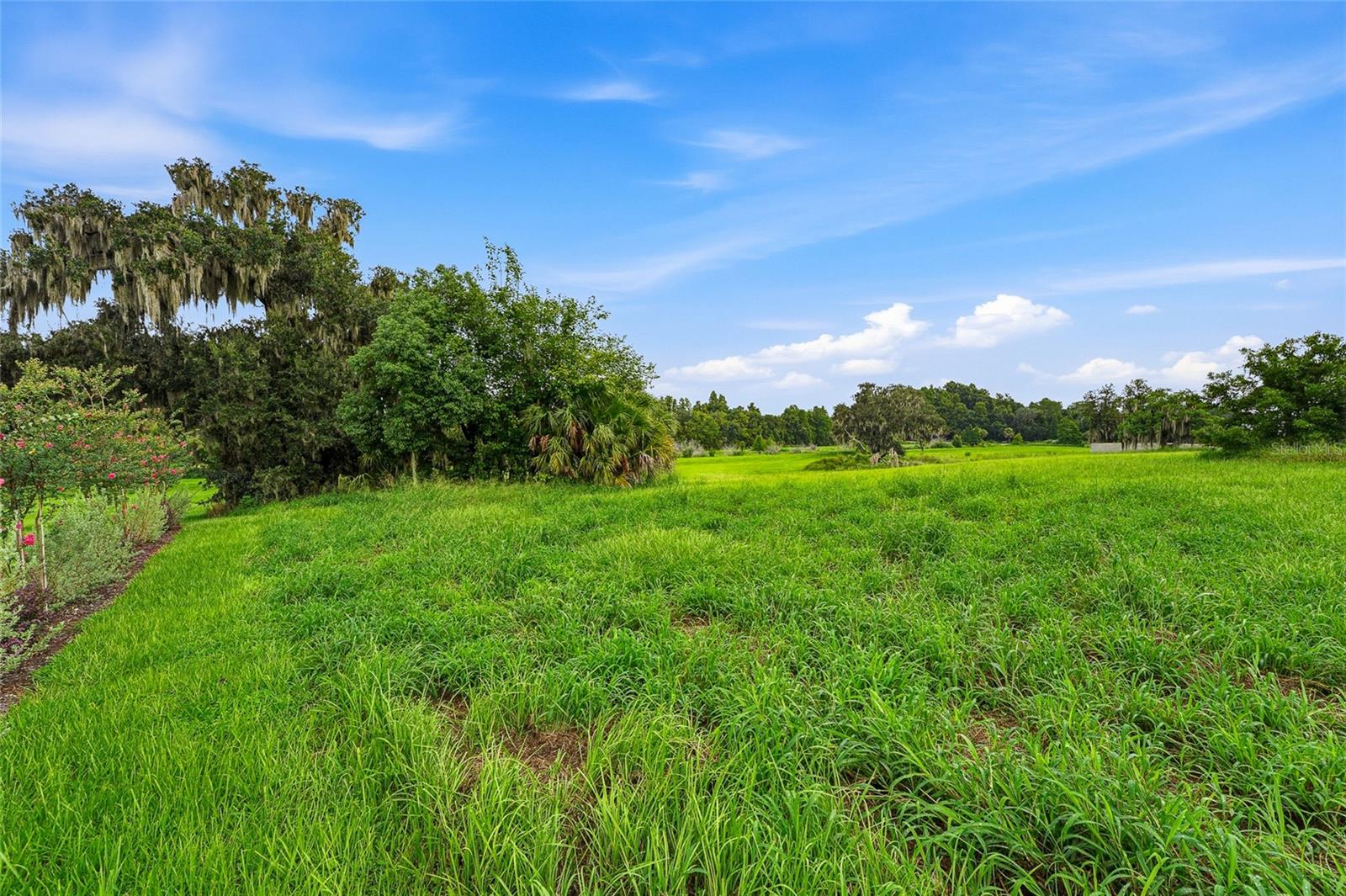 10734 OSPREY LANDING WAY — photo 46