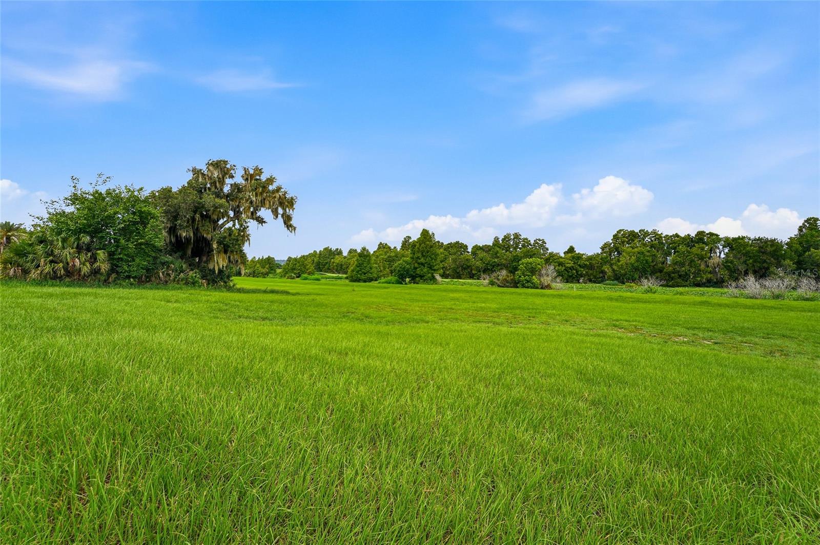 10734 OSPREY LANDING WAY — photo 40