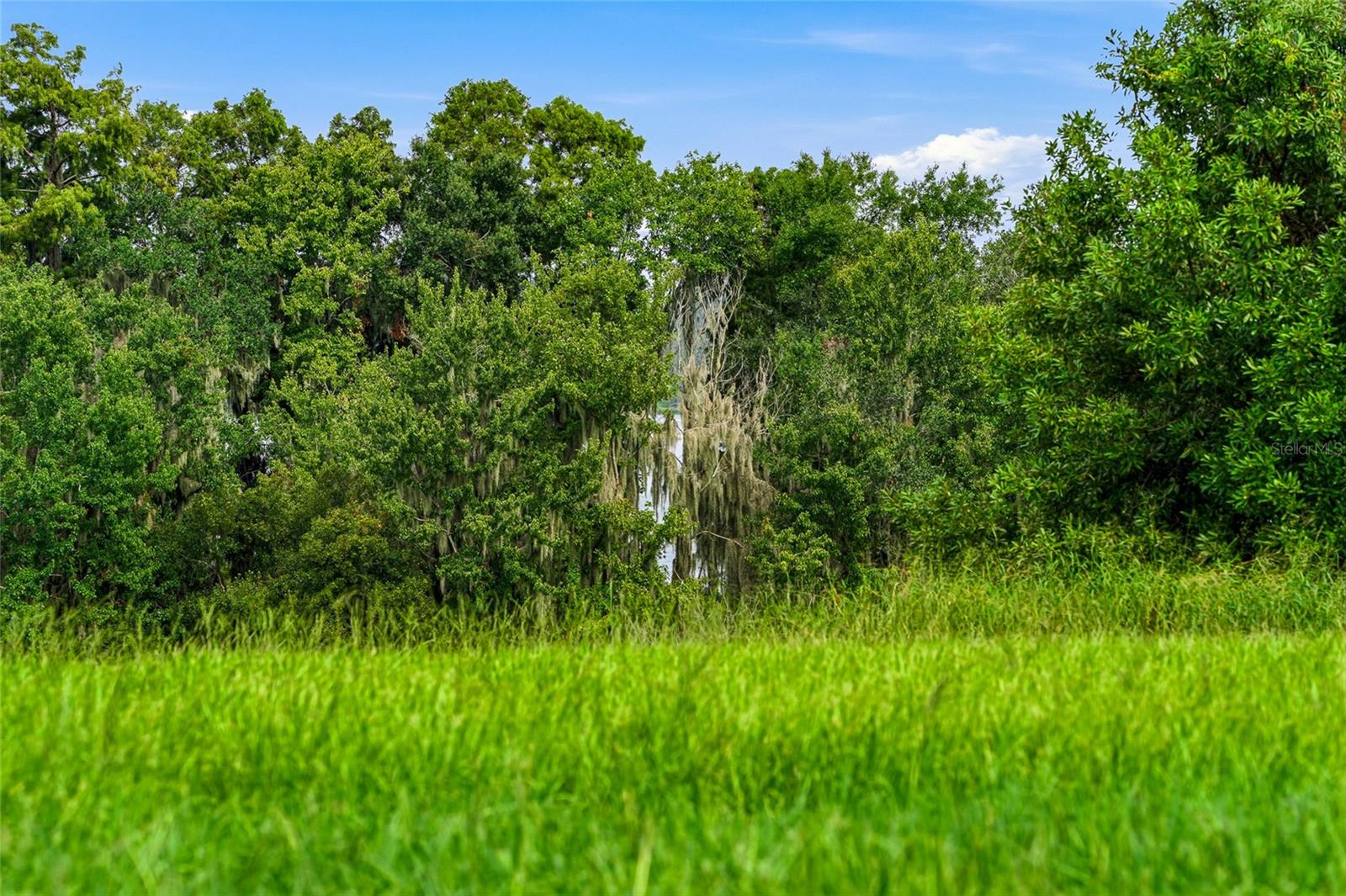 10734 OSPREY LANDING WAY — photo 59