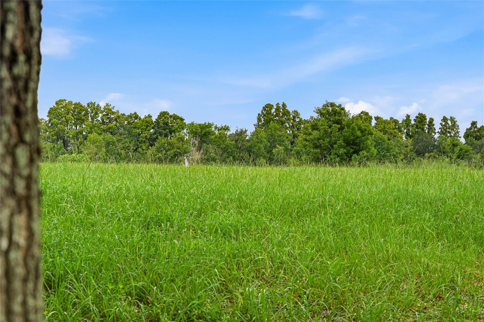 10734 OSPREY LANDING WAY — photo 49