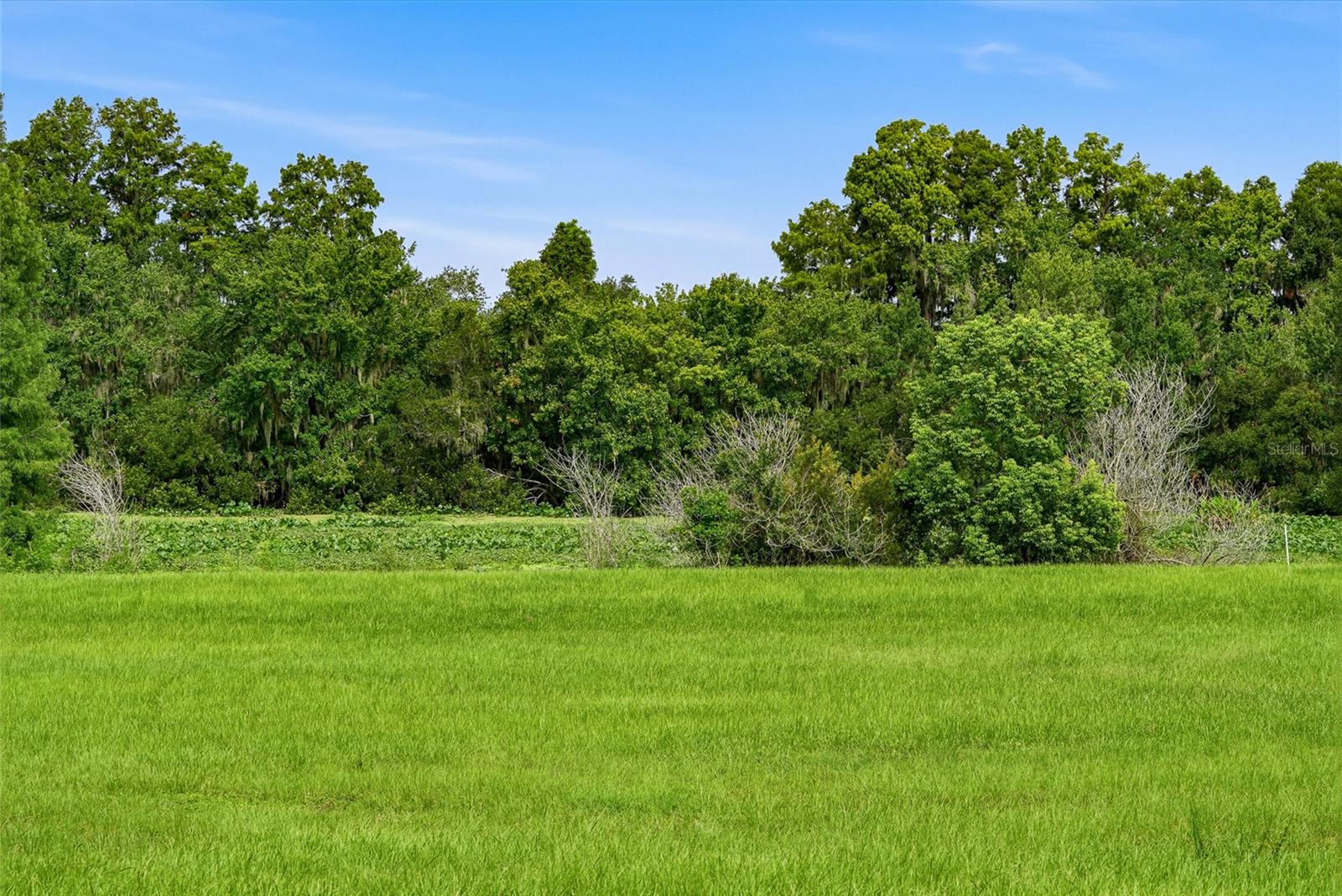 10734 OSPREY LANDING WAY — photo 58