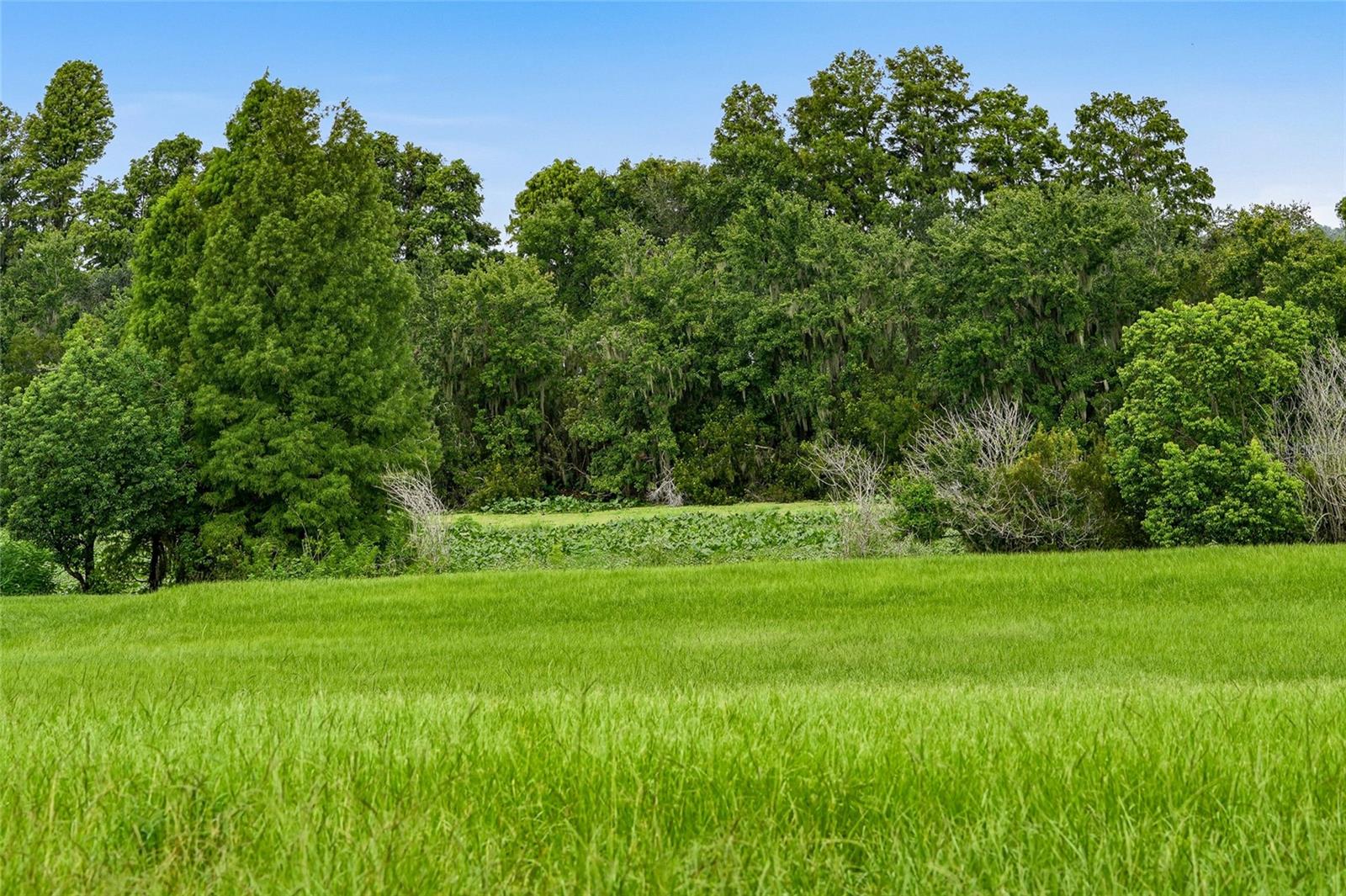 10734 OSPREY LANDING WAY — photo 51