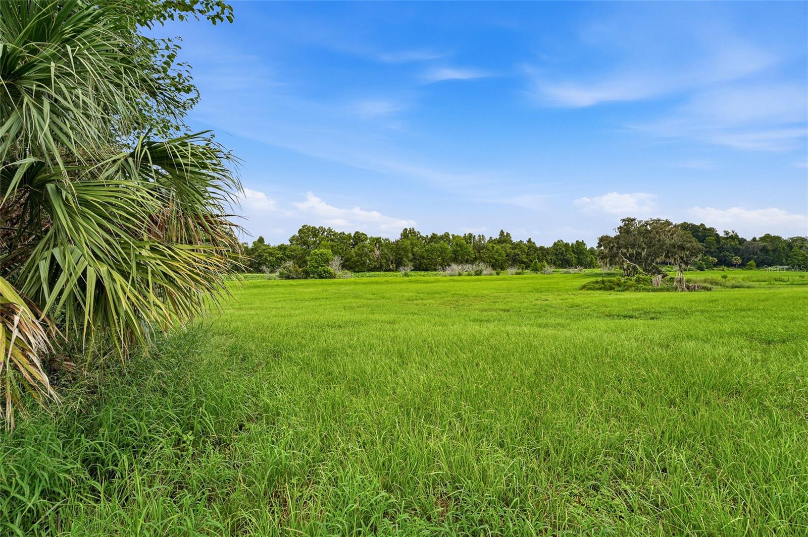10734 OSPREY LANDING WAY — photo 45