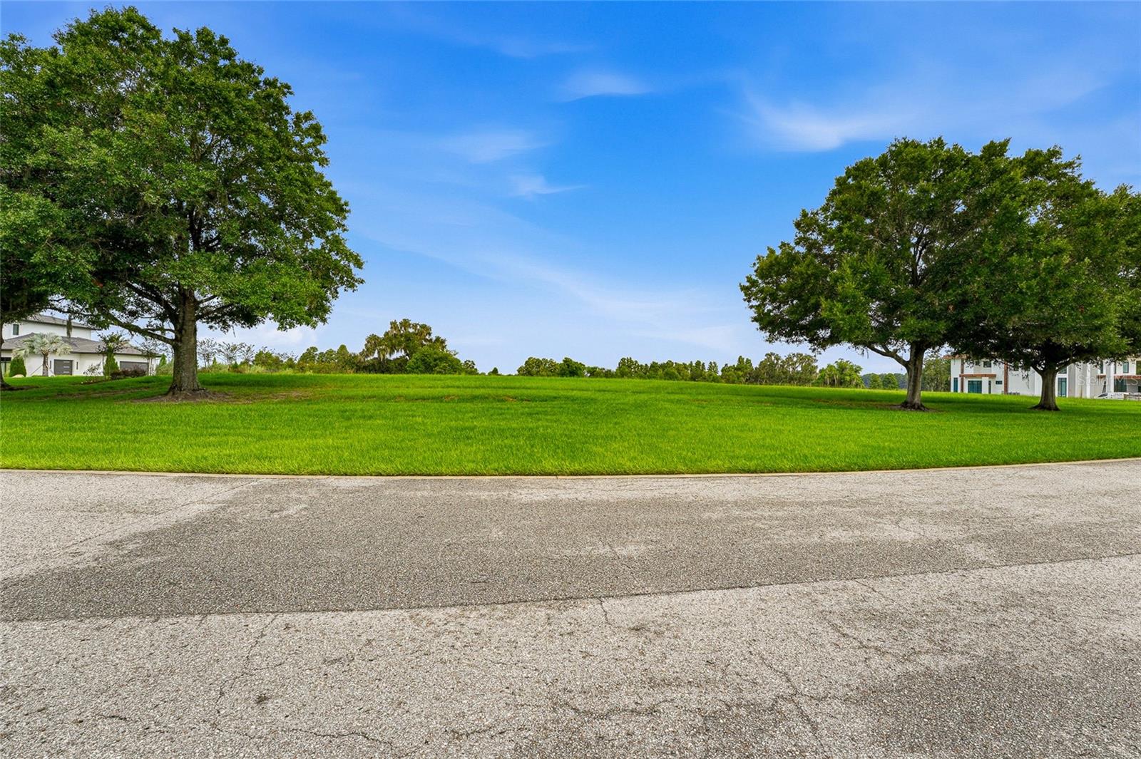 10734 OSPREY LANDING WAY — photo 36
