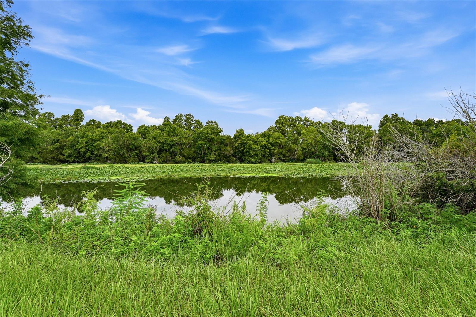 10734 OSPREY LANDING WAY — photo 43