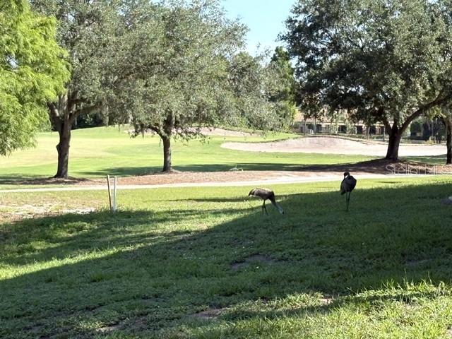 1425 EMERALD DUNES DR #17 — photo 72