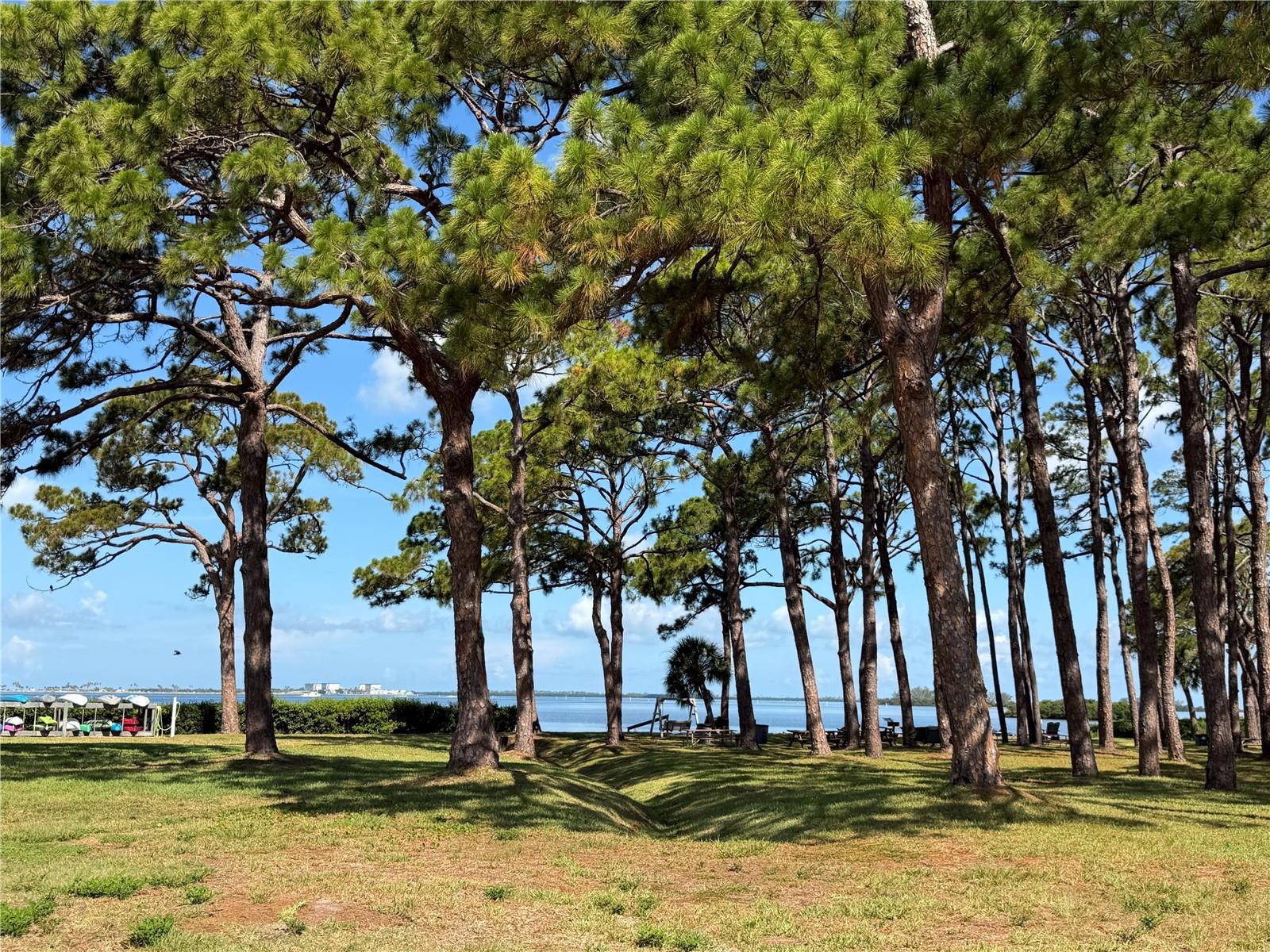 2700 BAYSHORE BLVD #2108 — photo 6