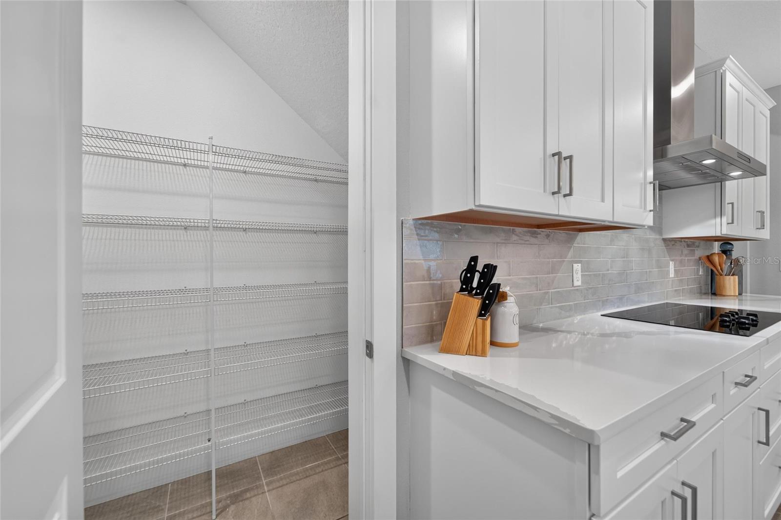 8910 DRUMMER PLANK DR — photo 22