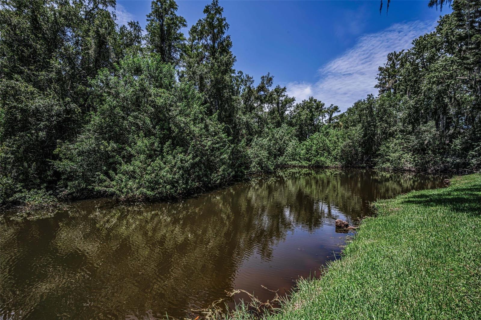 80 SUMMERWINDS LN — photo 42