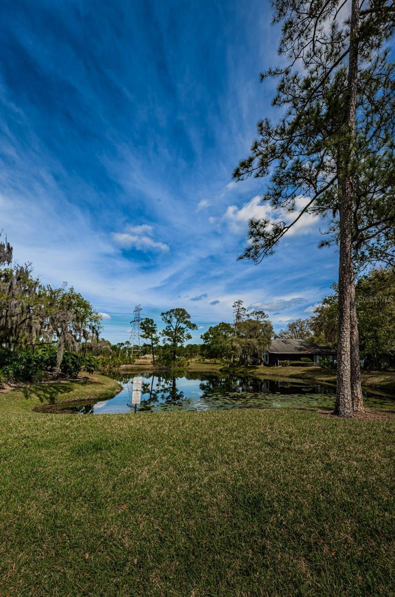 80 SUMMERWINDS LN — photo 49