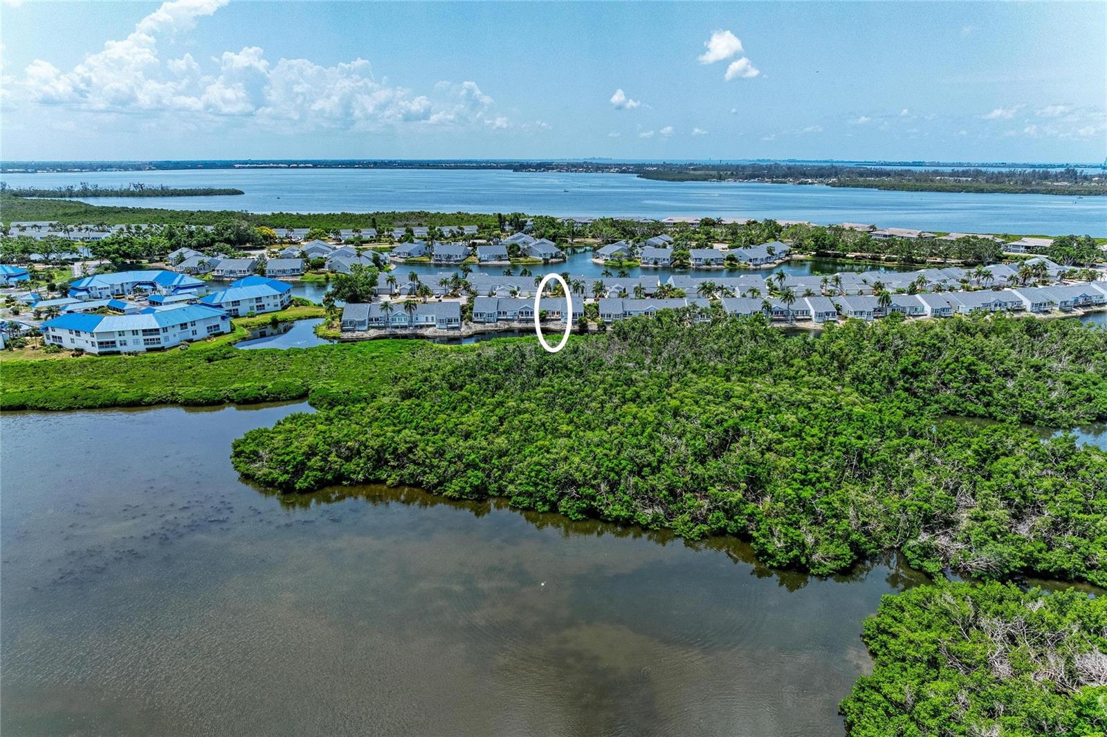 1218 SPOONBILL LANDINGS CIR — photo 3