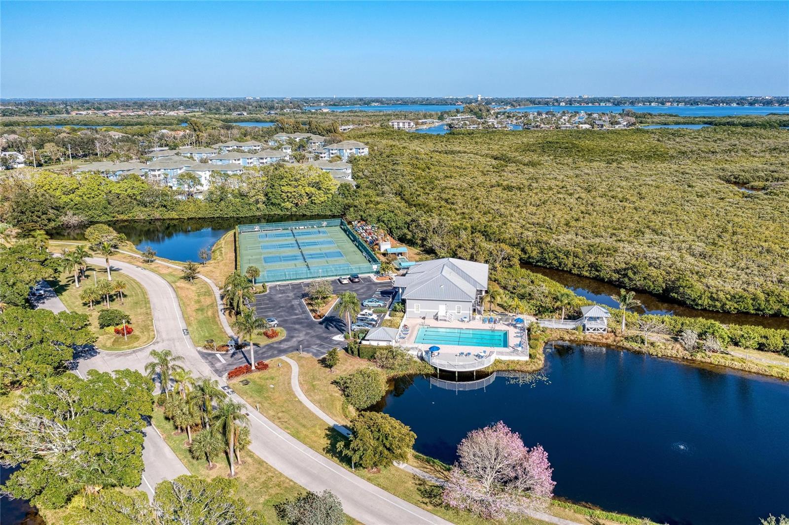 1218 SPOONBILL LANDINGS CIR — photo 51