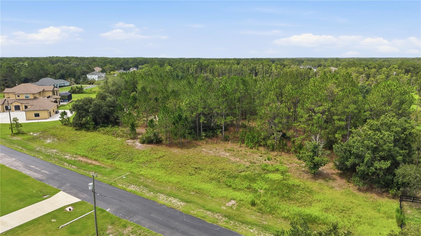 8616 SPRING FOREST LN — photo 7
