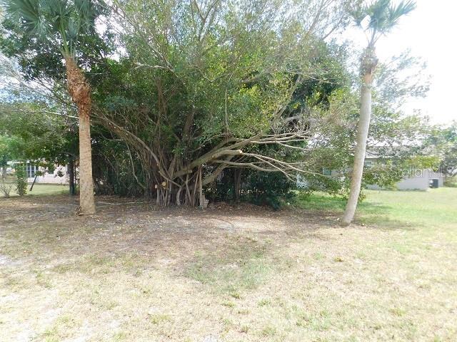 612 SHAMROCK BLVD — photo 17