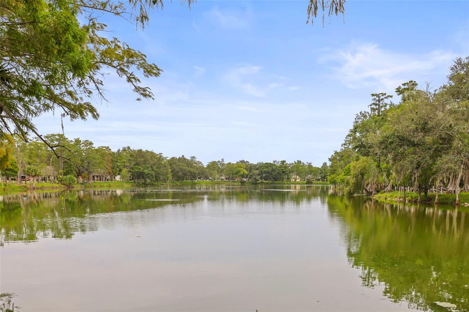 2556 ROYAL PINES CIR #13-C — photo 46