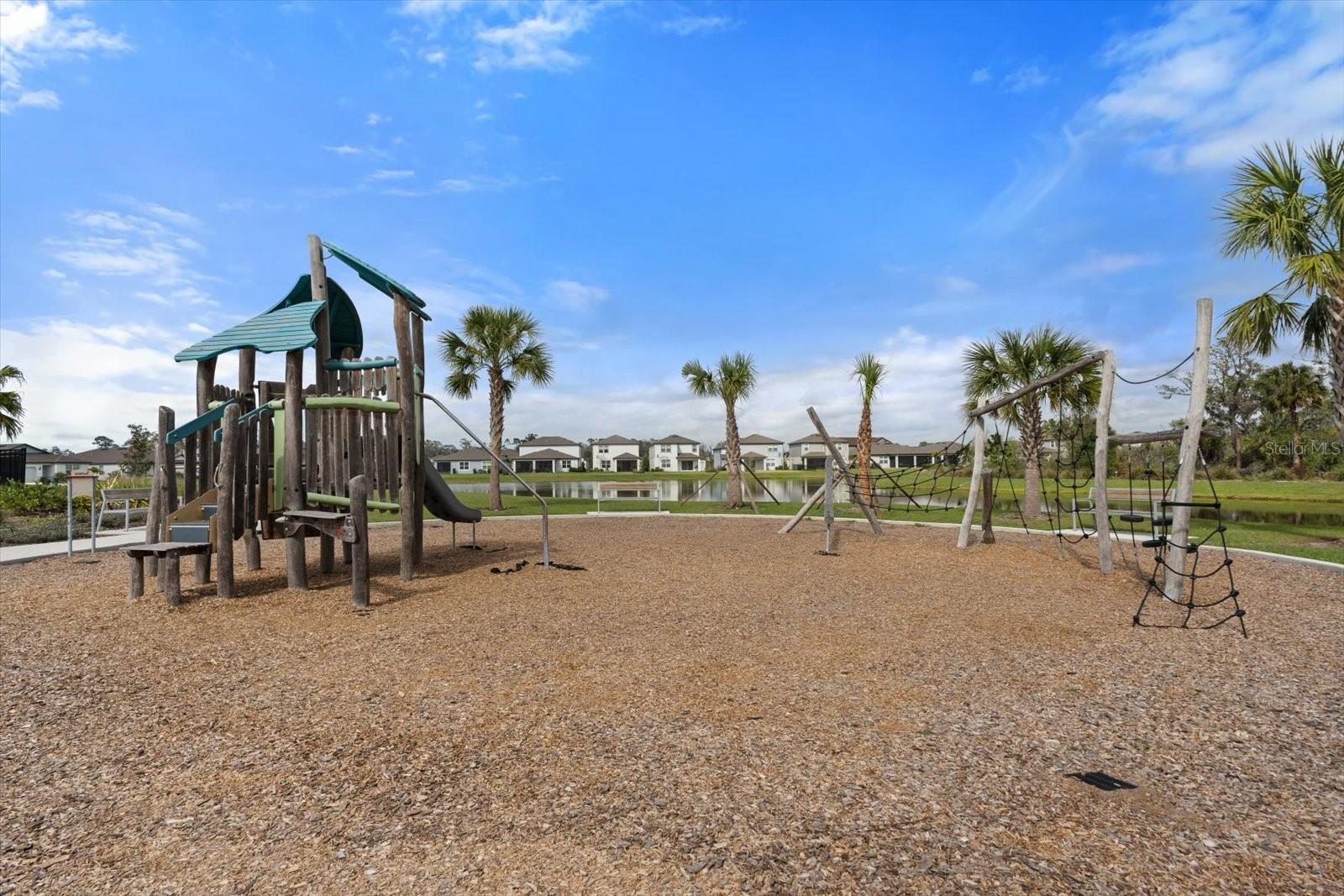 11875 ARMADA WAY — photo 46