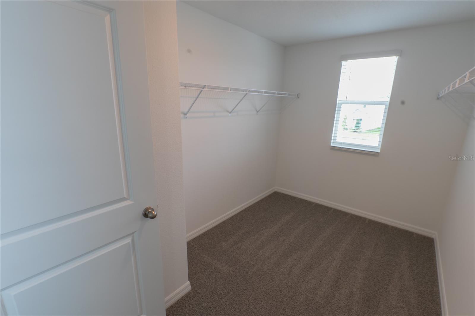 4409 SAND DOLLAR WAY — photo 6