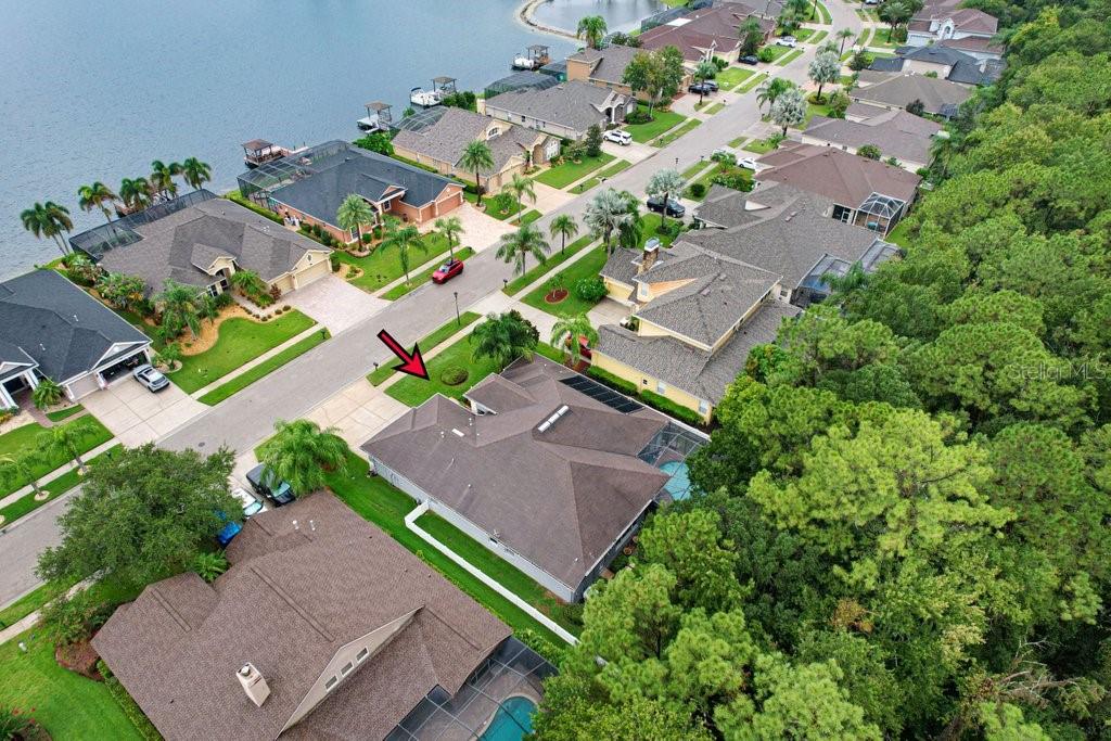 16116 IVY LAKE DR — photo 9