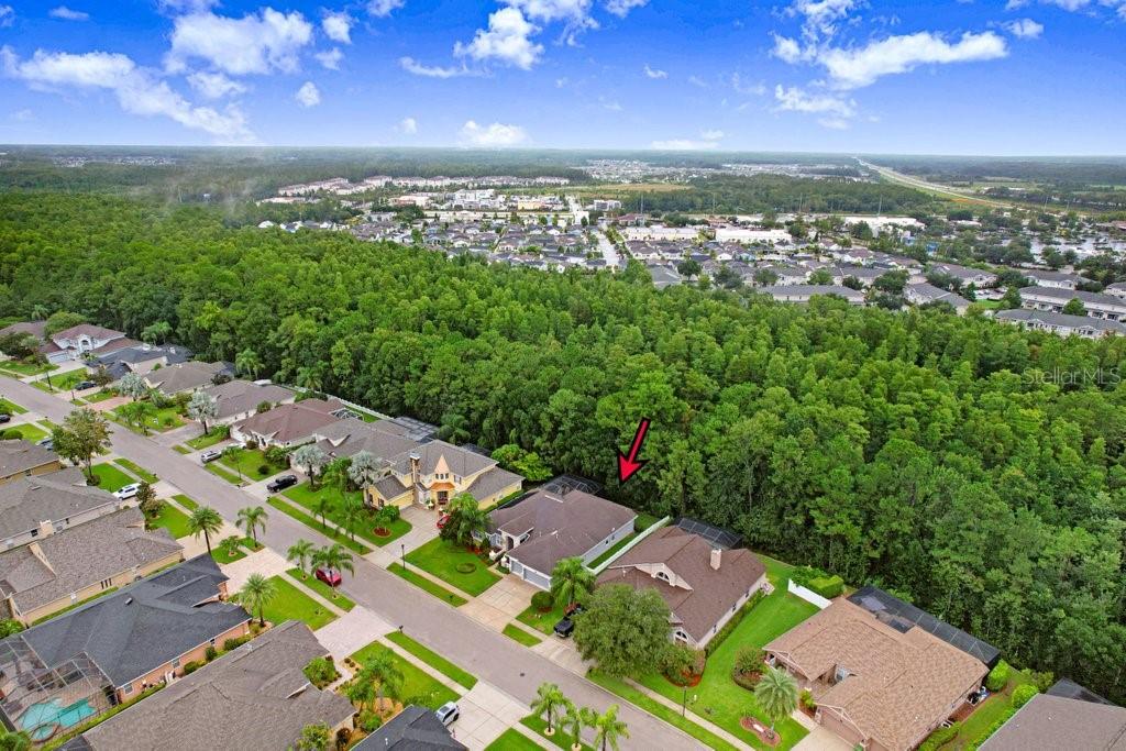 16116 IVY LAKE DR — photo 7