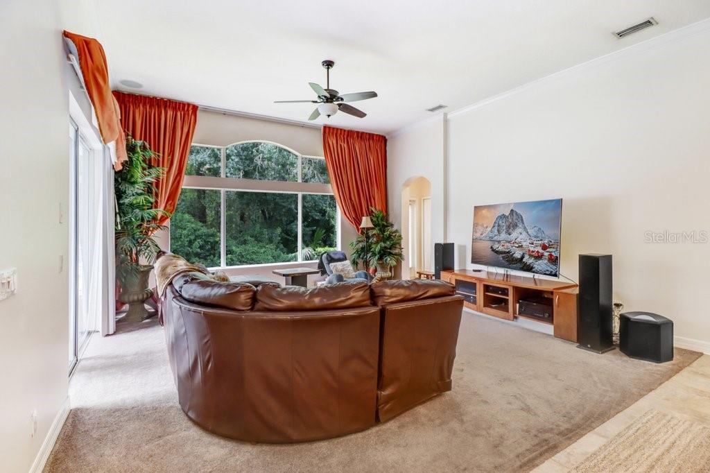 16116 IVY LAKE DR — photo 47