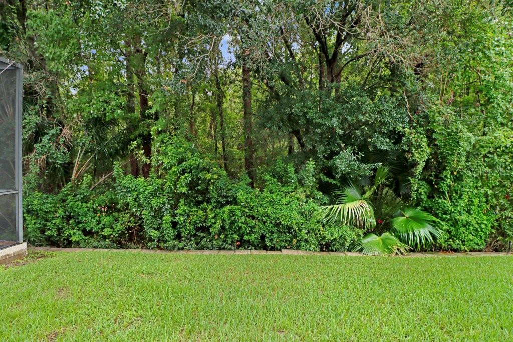 16116 IVY LAKE DR — photo 22