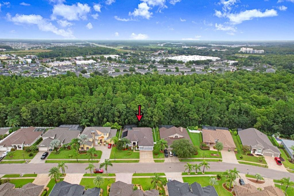 16116 IVY LAKE DR — photo 6