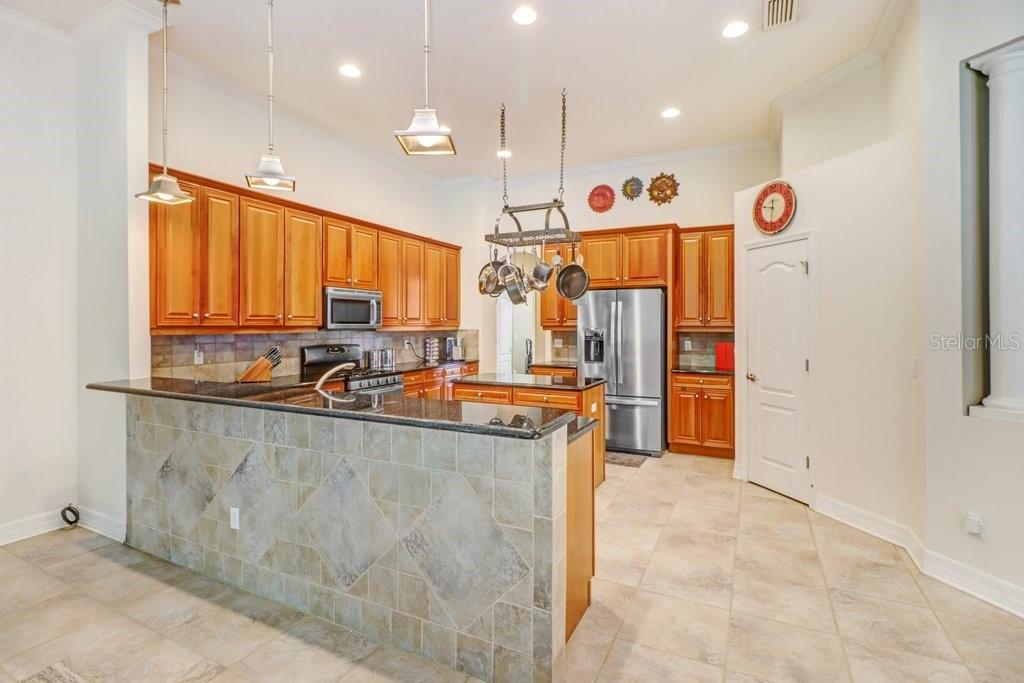 16116 IVY LAKE DR — photo 44