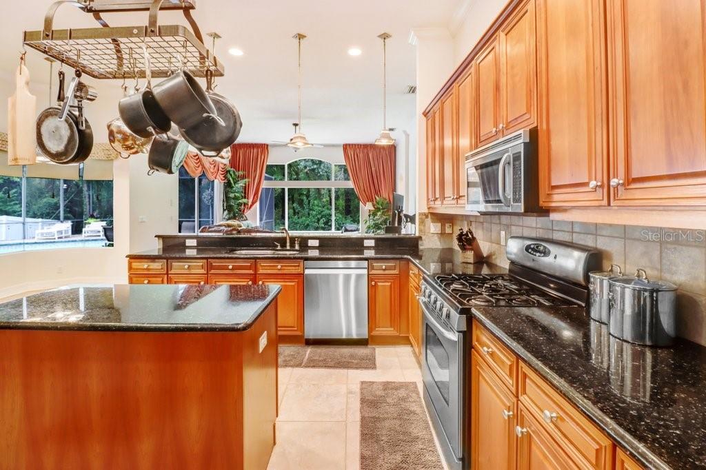 16116 IVY LAKE DR — photo 46