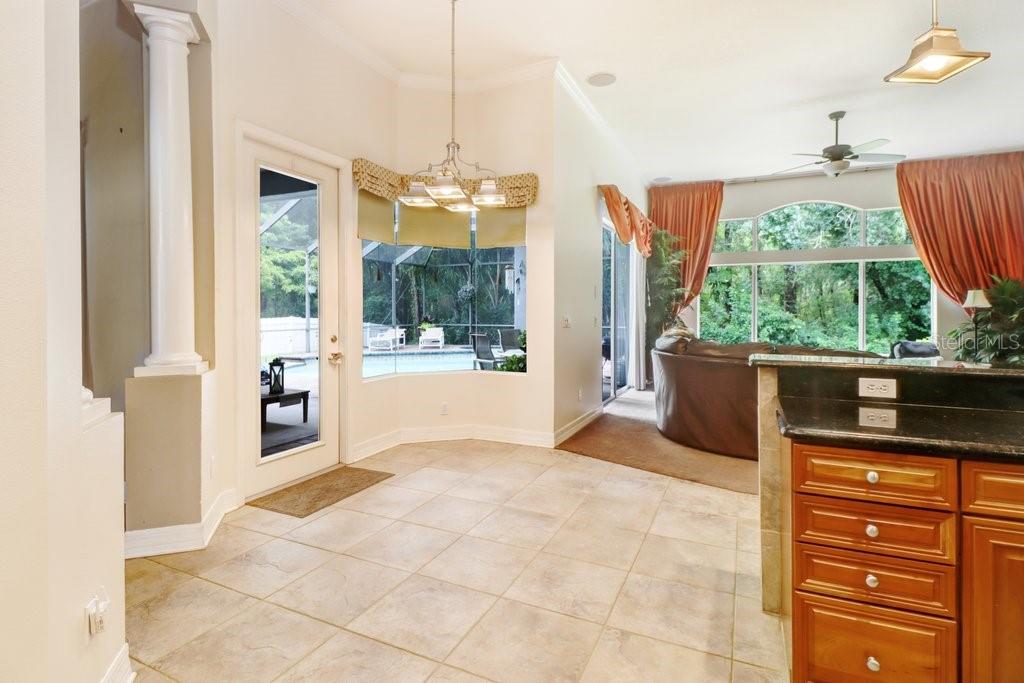 16116 IVY LAKE DR — photo 43