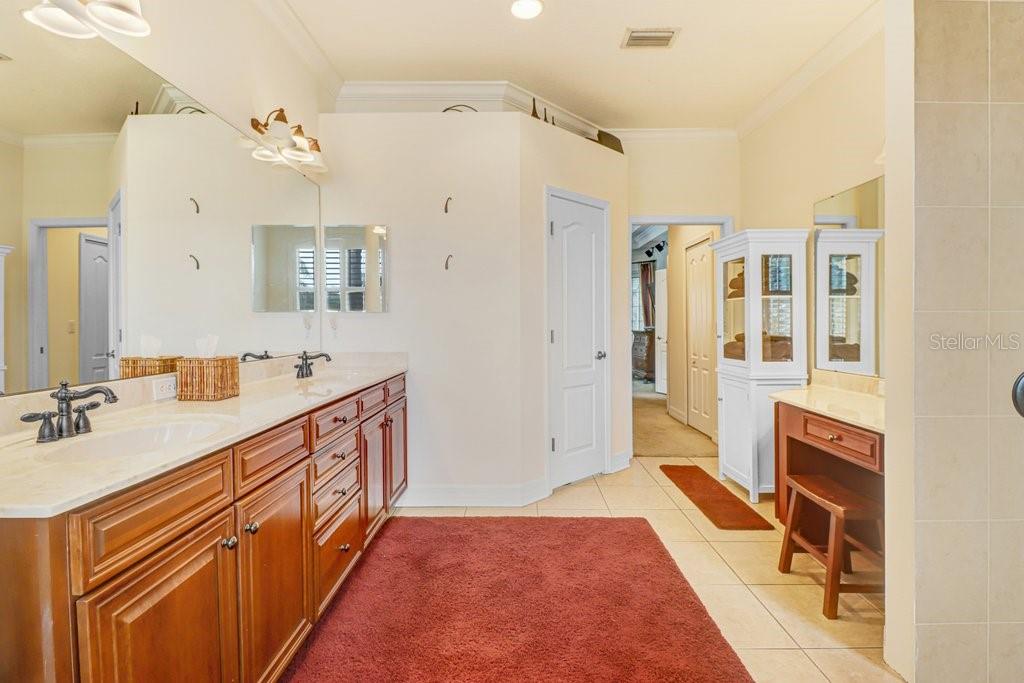 16116 IVY LAKE DR — photo 42
