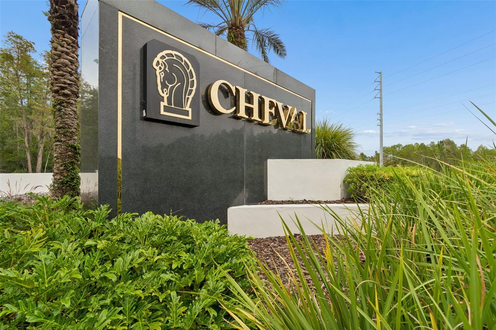 19029 CHEMILLE DR — photo 48