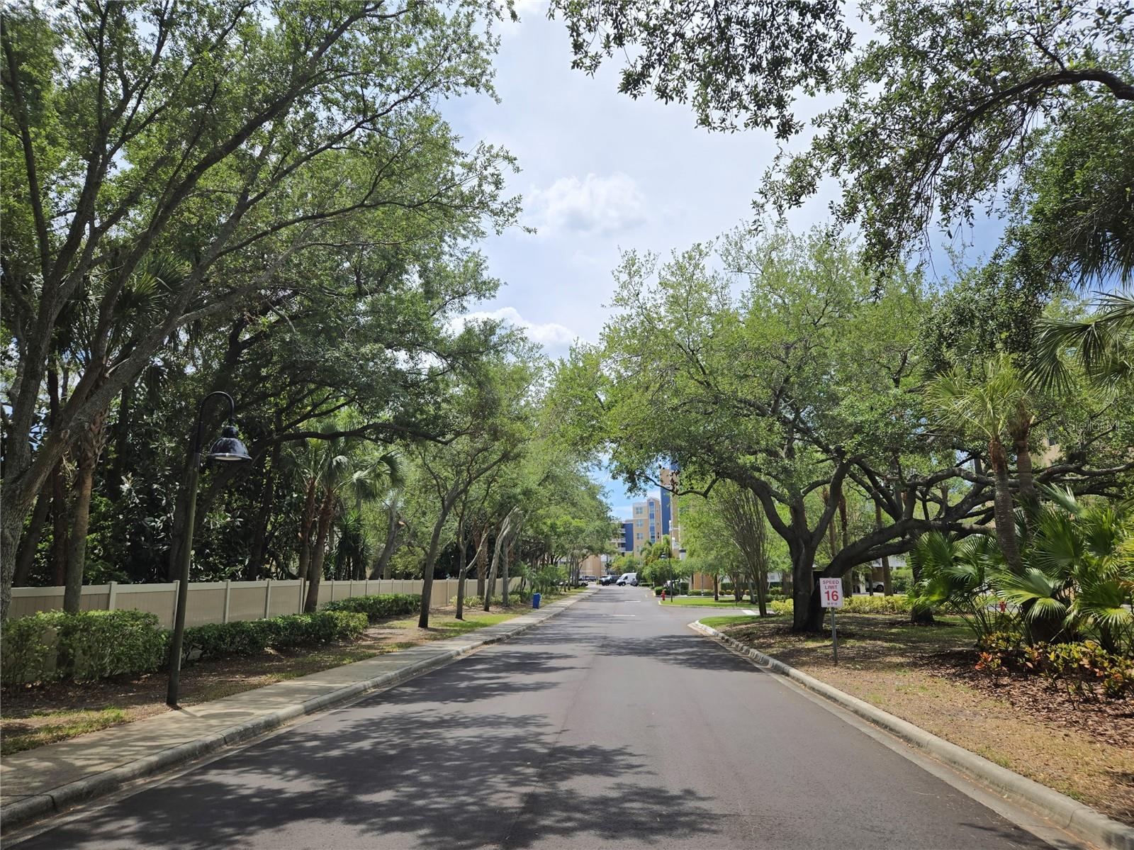 960 STARKEY RD #9206 — photo 67