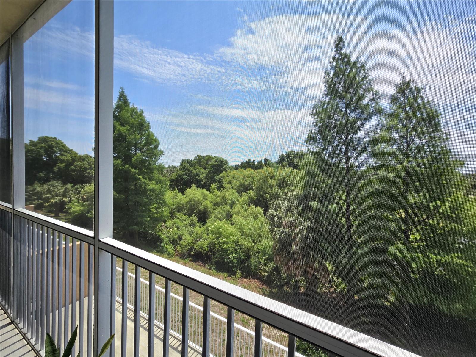 960 STARKEY RD #9206 — photo 53