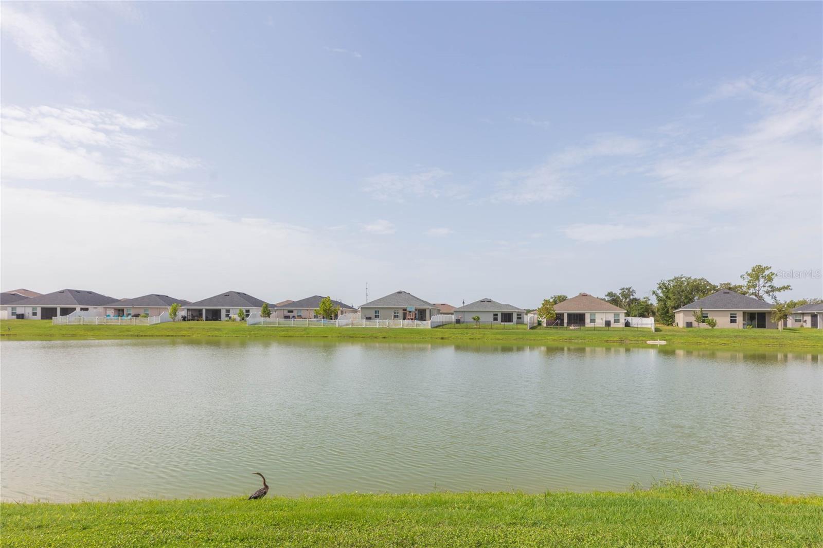 35171 CRESCENT CREEK DR — photo 39