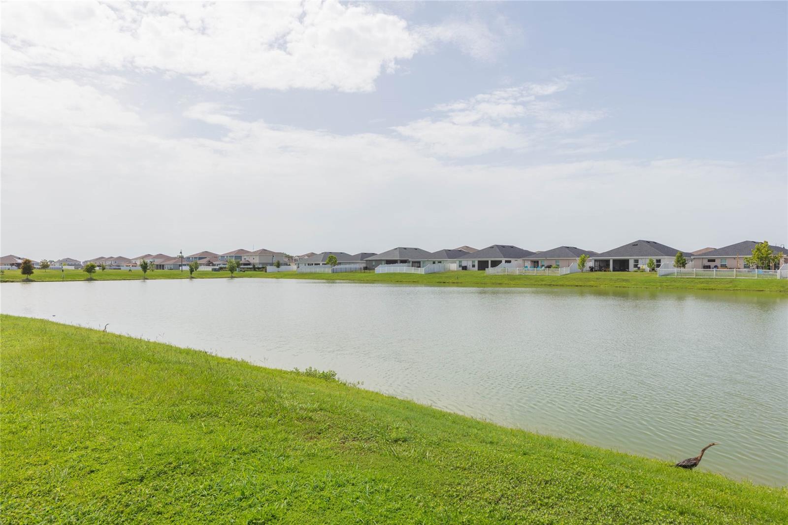 35171 CRESCENT CREEK DR — photo 41