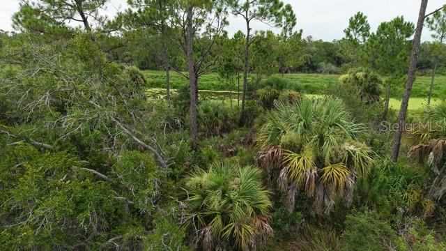 Lot 10 ROSEQUEEN CIR — photo 7