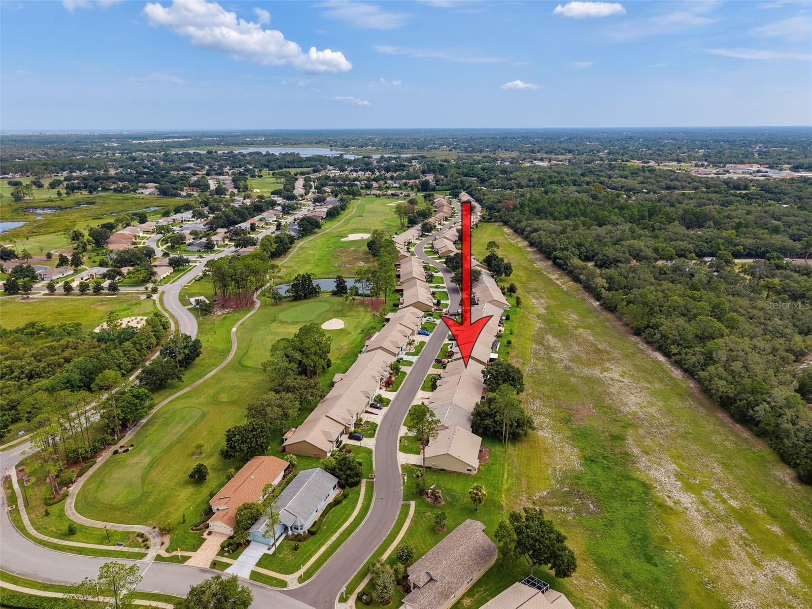 18412 BENT PINE DR — photo 46