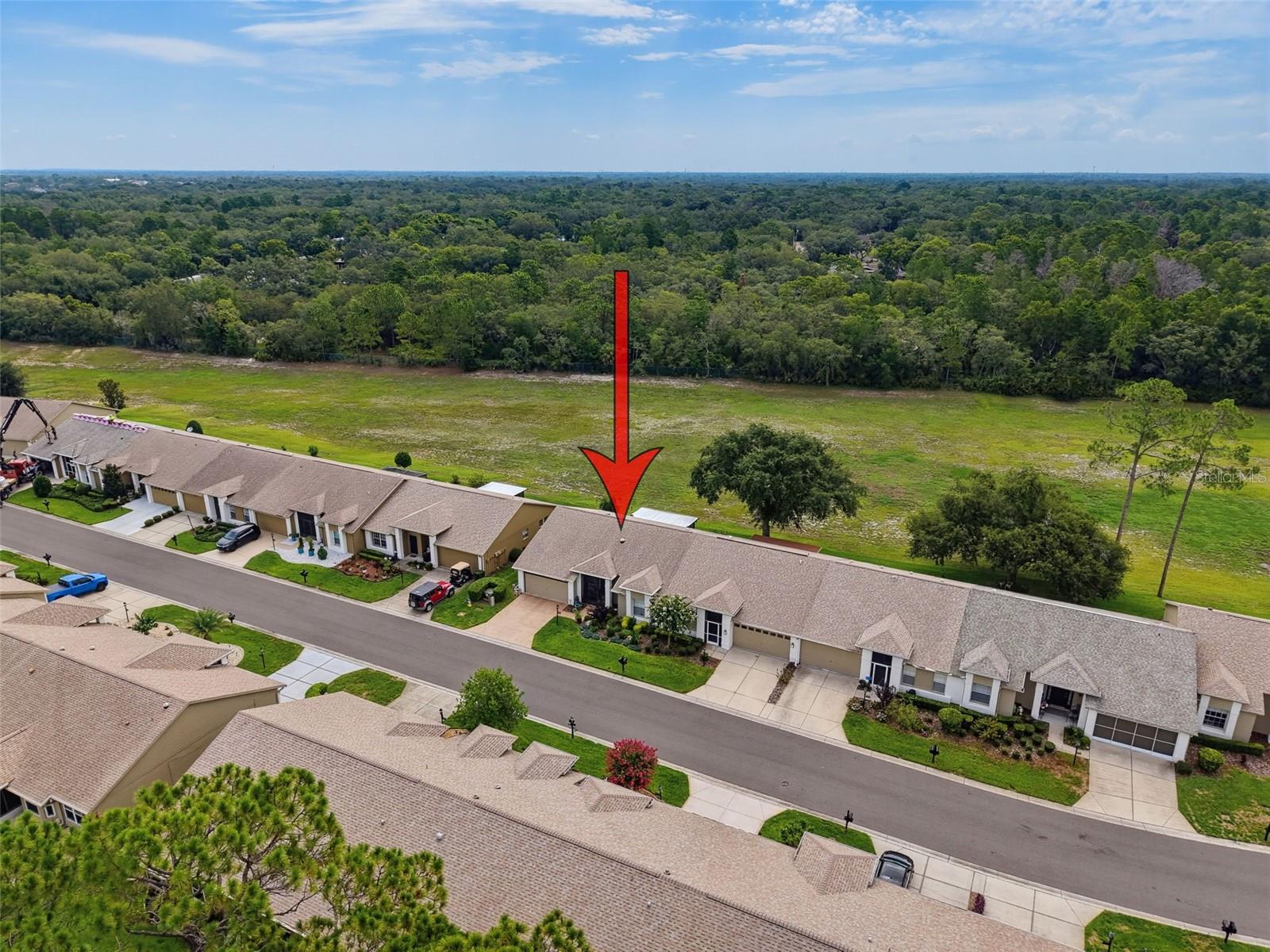 18412 BENT PINE DR — photo 45