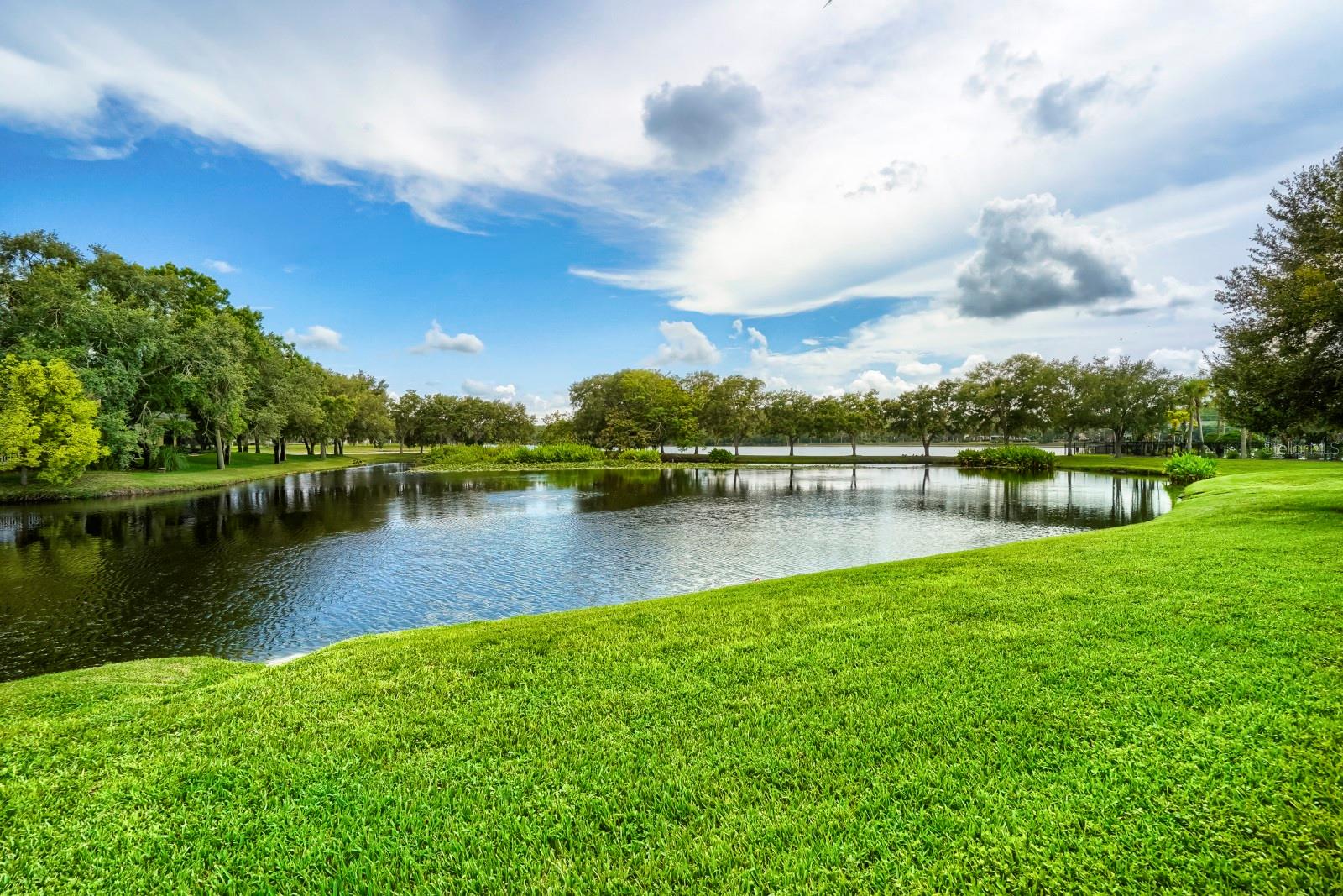 11724 CASA LAGO LN — photo 36